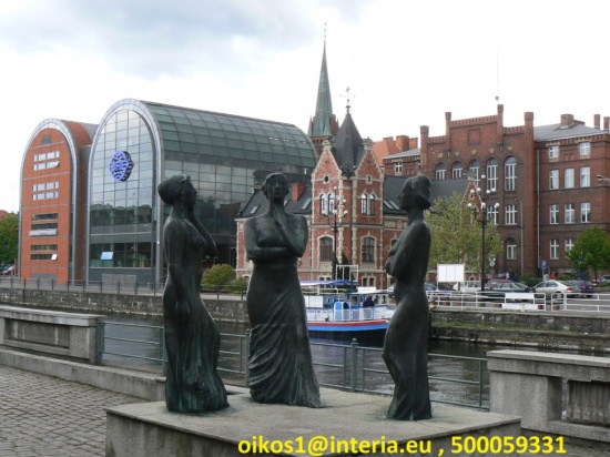 Gospodarstwo rolne - 300 ha w Kuj. - Pomorskim.